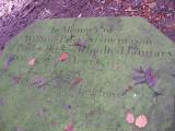 image of grave number 174420